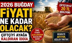 2026 Buğday Fiyatı Ne Kadar Olacak? Çiftçiyi Ayağa Kaldıran İddia