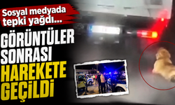 Sosyal medyada tepki yağdı: görüntüler sonrası harekete geçildi