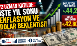 72 uzman katıldı: İşte yıl sonu enflasyon ve dolar beklentisi!