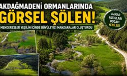 Akdağmadeni Ormanlarında Görsel Şölen