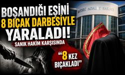 Eski eşini defalarca bıçaklayan sanığın davasında yeni gelişme