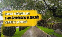 Bahar Yağmurları E-88 Üzerindeki O Sokağı Cennete Çevirdi!