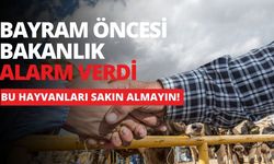 Bayram Öncesi Bakanlık Alarm Verdi: Bu Hayvanları Sakın Almayın