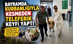 Bayramın En İlginç Görüntüsü: Koçuyla Teleferik Turu Attı