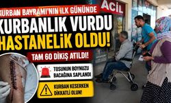 Kurbanlık Vurdu Hastanelik Oldu: Tam 60 Dikiş Atıldı!