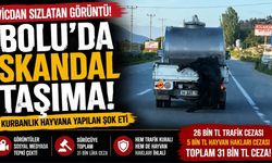 Bolu’da Skandal Taşıma! Kurbanlık Hayvana Yapılan Şok Etti