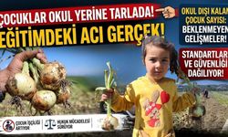 Mevsimlik tarım işçisi çocukları Adana tarlalarında çalışıyor