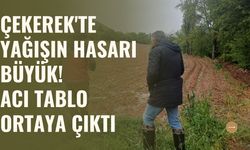 Çekerek'te Yağışın Hasarı Büyük! Acı Tablo Ortaya Çıktı