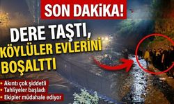 Dere taştı, köylüler evlerini boşalttı