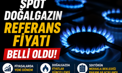 Spot doğalgazın referans fiyatı belli oldu