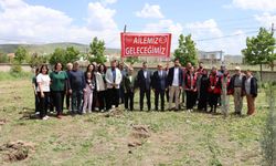 Fidanlar Toprakla Buluştu: Yerköy Nefes Alacak