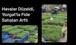 Havalar Düzeldi, Yozgat'ta Fide Satışları Arttı