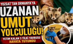 Hayata İkinci Şans: Yozgat’tan Ormanya’ya Uzanan Umut Yolculuğu