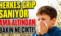 Herkes Grip Sanıyor Ama Altından Bakın Ne Çıktı