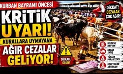 Kurban Bayramı öncesi kritik uyarı... Kurallara uymayana ağır cezalar geliyor