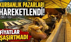 Kurbanlık Pazarları Hareketlendi! Fiyatlar Şaşırtmadı