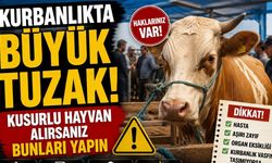 Kurbanlıkta Büyük Tuzak! Kusurlu Hayvan Alırsanız Bunları Yapın