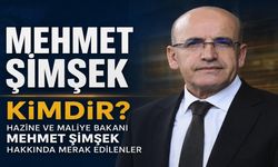 Mehmet Şimşek kimdir? Hazine ve Maliye Bakanı Mehmet Şimşek kaç yaşında, nereli?