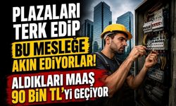 Memurluğu Bırakıp Bu Mesleklere Yöneliyorlar! Maaşlar 90 Bin TL’yi Aştı