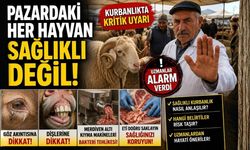 Pazardaki Her Hayvan Sağlıklı Değil! Kurbanlıkta Kritik Uyarı