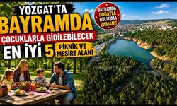 Yozgat’ta Bayramda Çocuklarla Gidilebilecek En İyi 5 Piknik ve Mesire Alanı Rehberi!