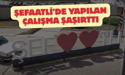 Şefaatli'de Yapılan Çalışma Şaşırttı
