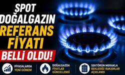 Spot doğalgazın referans fiyatı belli oldu