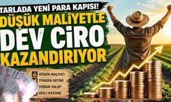 Tarlada Yeni Para Kapısı! Düşük Maliyetle Dev Ciro Kazandırıyor