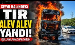 Seyir halindeki tır alev alev yandı