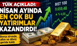 TÜİK Açıkladı: Nisan Ayında En Çok Bu Yatırımlar Kazandırdı