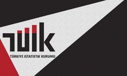 Altın mı borsa mı? TÜİK yıllık ve aylık en çok kazandıranları duyurdu