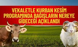 Vekaletle Kurban Kesim Programında Bağışların Nereye Gideceği Açıklandı