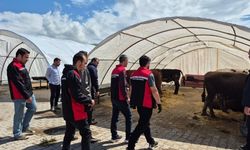 Yerköy'de Kurban Pazarına Şok Denetim!
