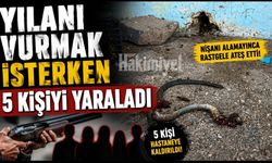 Yılanı Vurmak İsterken 5 Kişiyi Yaraladı