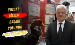 Yozgat BİLSEM Başarı Yolunda Hız Kesmiyor!