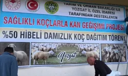 Yozgat'ta Küçükbaş Hayvancılıkta Çığır Açan "Kan Değişimi Projesi" Nedir, Kimler Yararlanabilir?