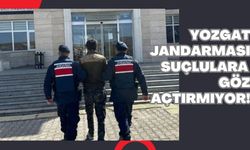 Yozgat Jandarması Suçlulara Göz Açtırmıyor!