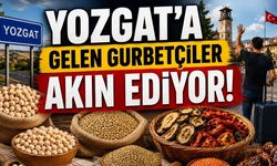 Yozgat'a Gelen Gurbetçiler Akın Ediyor!