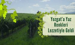 Yozgat’a Yaz Renkleri Lezzetiyle Geldi