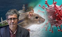 Yozgatlı Prof. Dr. Demirer: Hantavirüsün Çözümü Belli