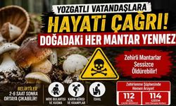 Yozgatlı Vatandaşlara Hayati Uyarı: Doğadaki Her Mantar Yenmez!