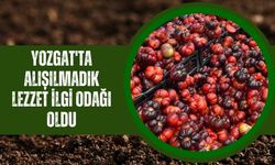 Yozgat'ta Alışılmadık Lezzet İlgi Odağı Oldu