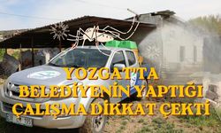 Yozgat'ta Belediyenin Yaptığı Çalışma Dikkat Çekti