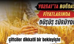 Buğday Fiyatlarında Düşüş Sürüyor