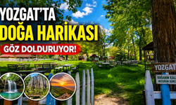 Yozgat'ta Doğa Harikası Göz Dolduruyor