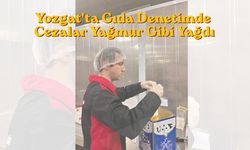 Yozgat'ta Gıda Denetimde Cezalar Yağmur Gibi Yağdı
