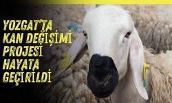 Yozgat’ta Kan Değişimi Projesi Hayata Geçirildi