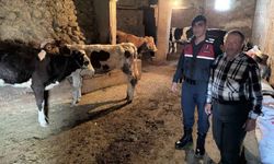 Yozgat'ta Kayıp Olayı: Jandarma Köylünün Yanında!