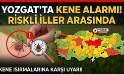 Yozgat’ta Kene Alarmı! Riskli İller Arasında
