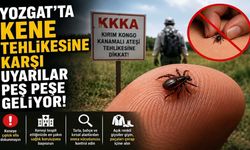 Yozgat’ta Kene Tehlikesine Karşı Uyarılar Peş Peşe Geliyor